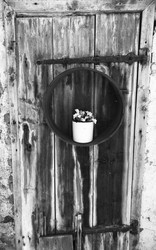 Stalltüre mit Blume sw.jpg