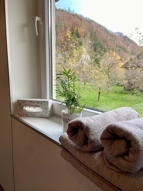 Ausblick Bad.JPEG
