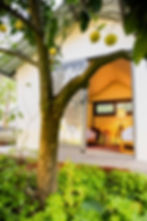 WhatsApp Image 2026-01-26 at 14.20.33