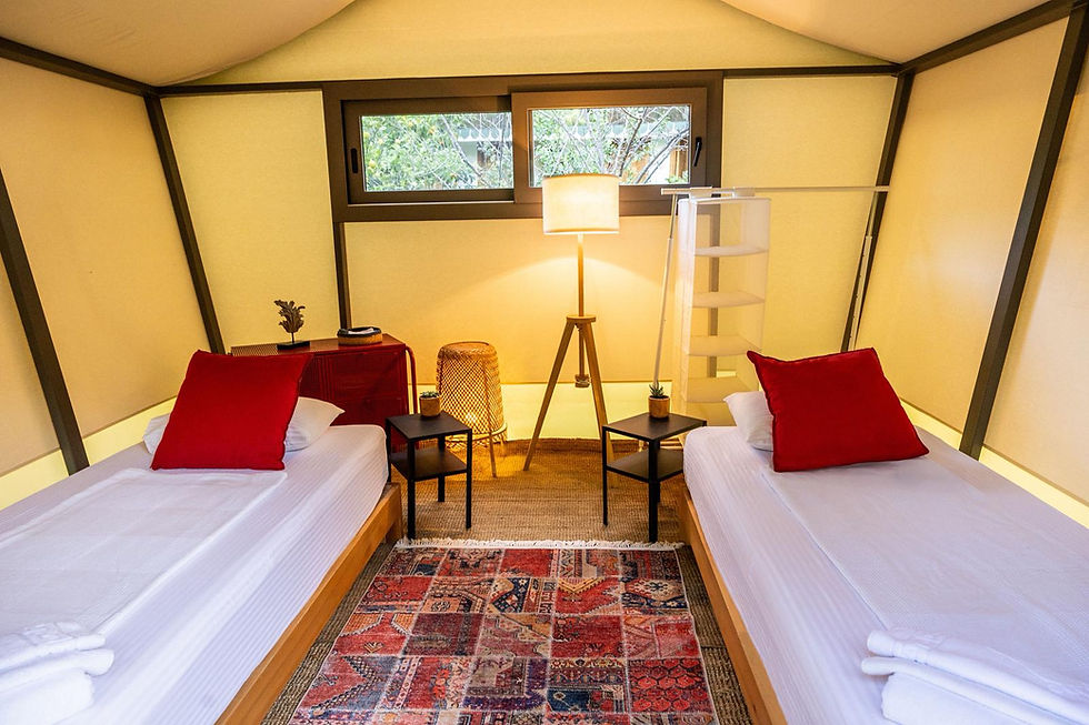 WhatsApp Image 2026-01-26 at 17.10.46