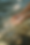 026.png