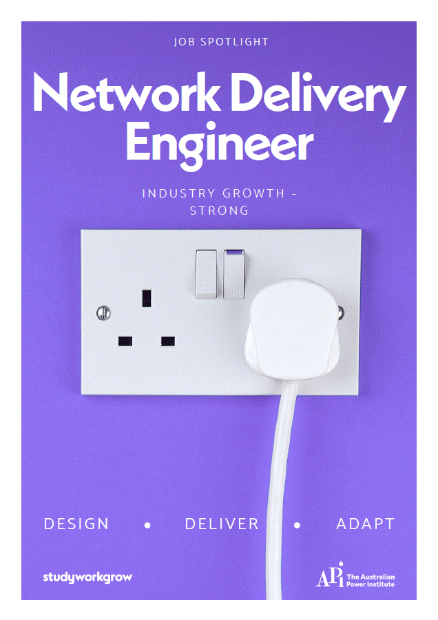 Network Delivery Cover.gif