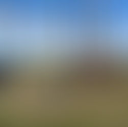 Non-Destructive Testing for Power Poles: Innovation in the Australian Power Sector