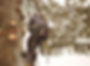 about1.jpg