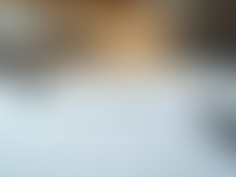 The Risks of Relying on AI for Your Estate Plan: Why a Trusted Attorney is Essential!