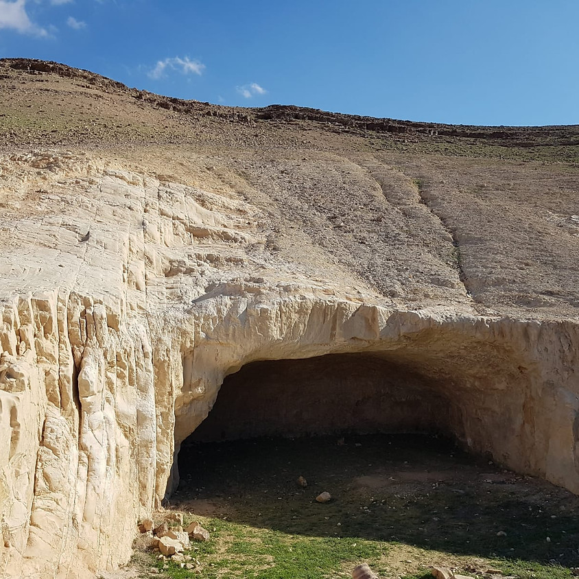 קול קורא לאנשים שאוהבים לזוז