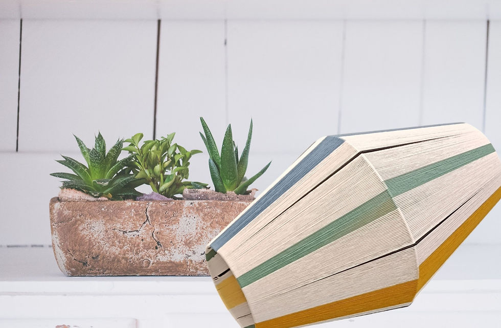 Μικρογραφία: Succulents and stack of books