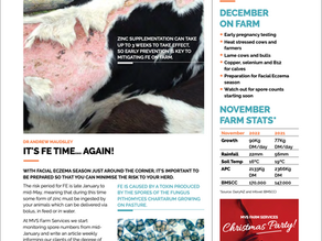 Herd Scene | December 2022