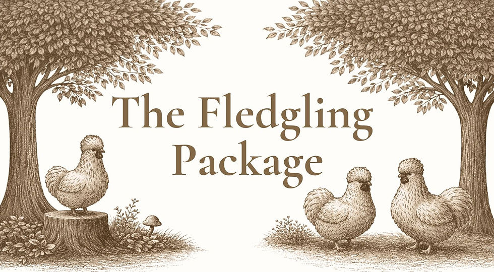 Fledgling Banner_edited.jpg