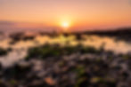 _NEX5139