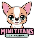 Contáctanos para comprar tu cachorro Chihuahua en Minititanes"