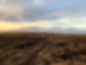 2022 picture of the Kolkuós herd in the autumn light.