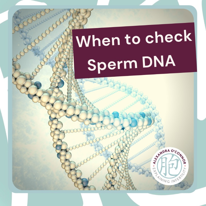 When To Check Sperm DNA Fragmentation. Essex Fertility Store