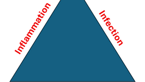 The Ever More Complicated World of Holistic Fertility Support