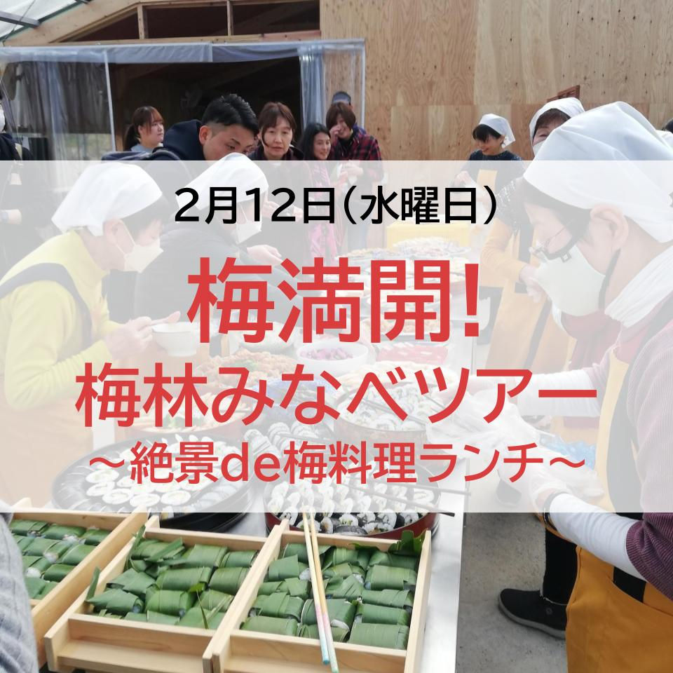 梅満開！梅林ツアー