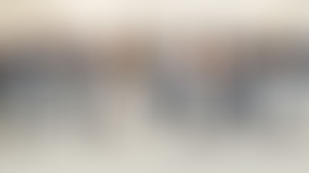 2017 ANCOP WALK LAUNCH