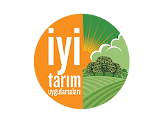 iyitarim.png
