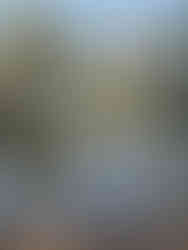 Cocoon Eco Lodge Comporta