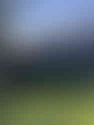 Gulbenkian garden Lisboa