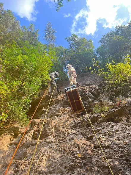 WhatsApp Image 2026-03-02 at 16.40.51.jpeg