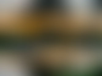 A Weekend at Cocoon Eco Lodges Comporta: Rediscovering Stillness and Soulful Connection