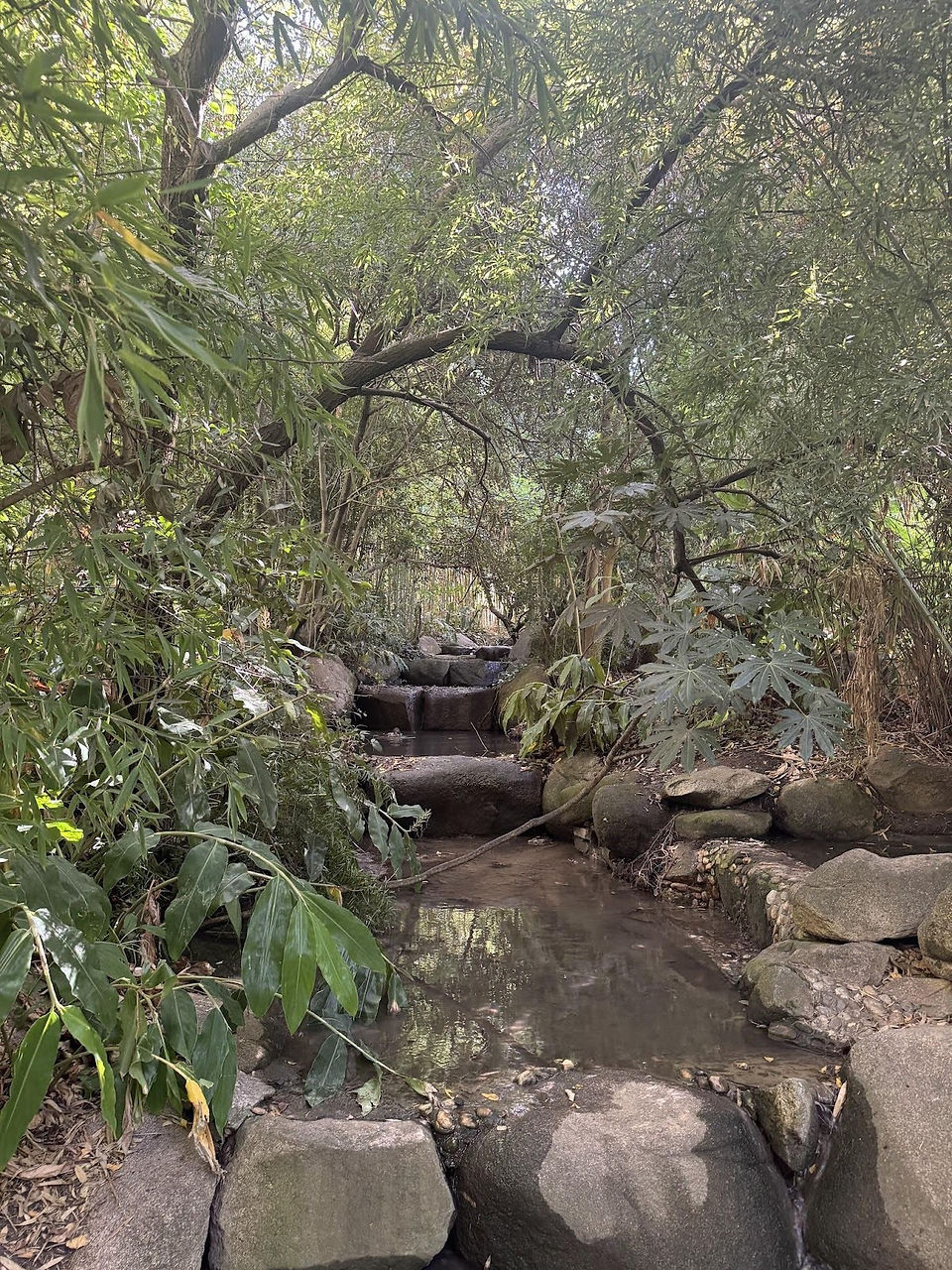 Gulbenkian garden Lisboa