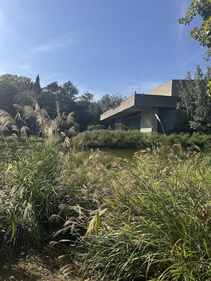 Gulbenkian garden Lisboa