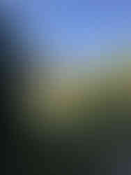 Gulbenkian garden Lisboa