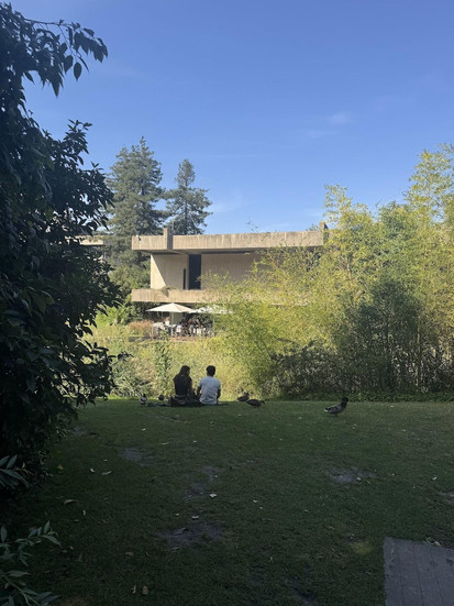 Gulbenkian garden Lisboa