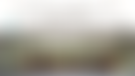 Krásné Vánoce ...