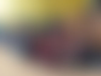 Do knihovny za zvířátky