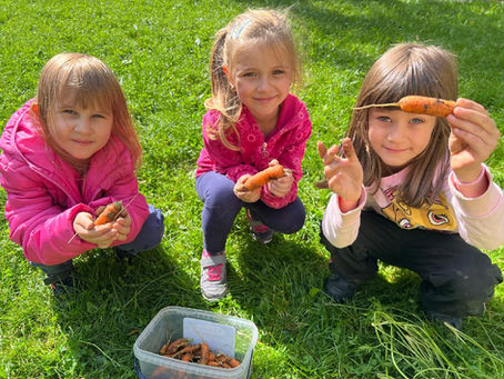 Jak Kuřátka pekla mrkvovou buchtu