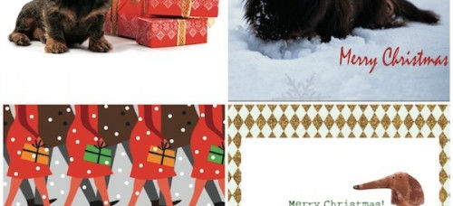Have you got your Dachshund-themed Christmas Cards yet? Support IVDD research too.