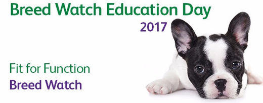 Kennel Club Breed Watch Education Day 19/11/17