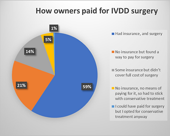 Insurance Dachshund Health Uk