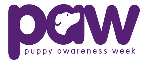It's Puppy Awareness Week 4-10 September 2017