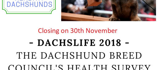 DachsLife 2018 – health survey closes on 30th November