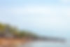 iStock-1194953574-2.jpg
