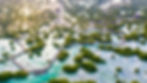 al Jubail Mangrove from high view.jpg