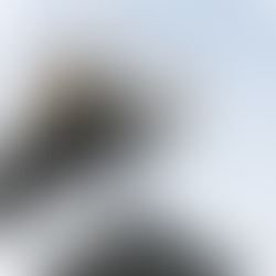 Garibaldi Thohir Lapor Harga Batu Bara Turun Bikin Laba ADRO Amblas 35 Persen Pada Akhir September 2023