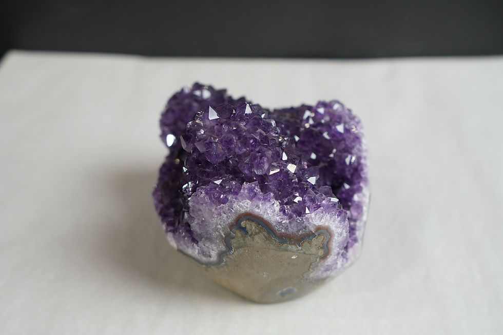 Thumbnail: Amethyst Pine