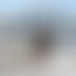 Jennifer Friman, Ruter Dam 2014, ny VD för Falkenberg Strandbad