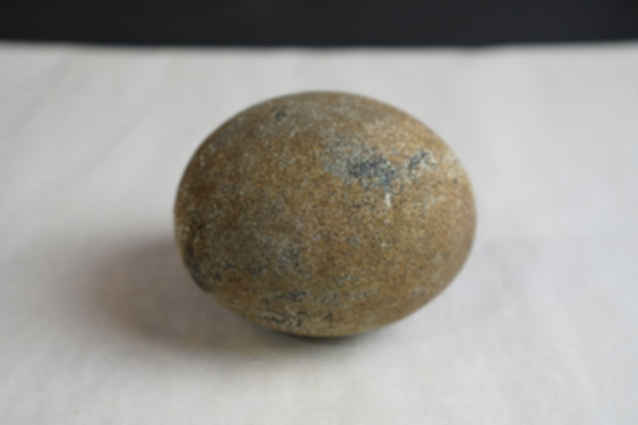 Pyrite Nodule Concretion