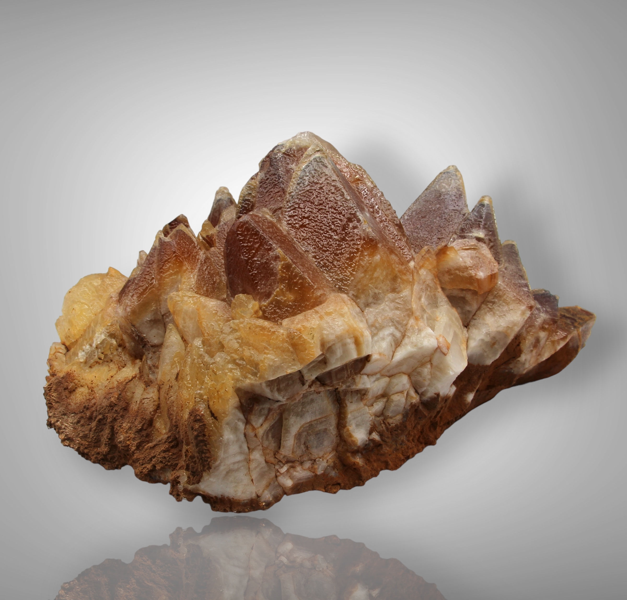 Dogtooth Calcite cluster