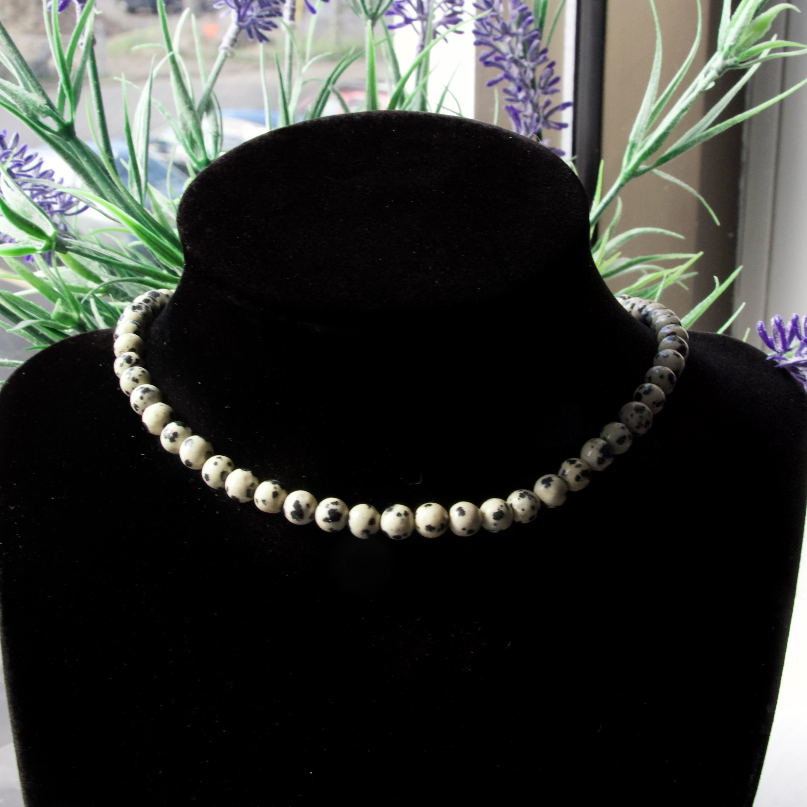 Dalmatian Jasper Choker Necklace- 6mm