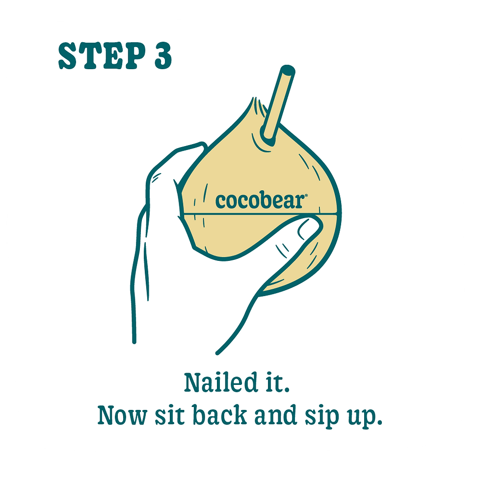 Cocobear Micro Site 2024 Opening Instructions Corrected-03.png