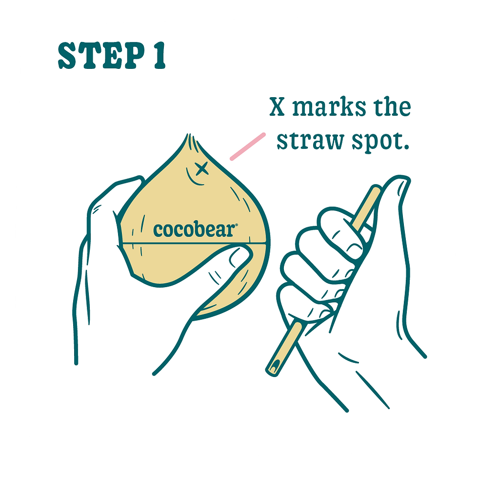 Cocobear Micro Site 2024 Opening Instructions Corrected-01.png