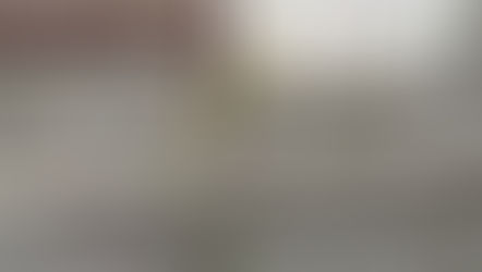 続！あの木はどうなったって？？