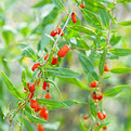 istock-695873602web.jpg