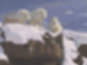 56D000EA-295A-4A8A-8B67-F2855F2D5F1D_edited.jpg